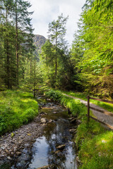 Tiny river in the Irish countryside