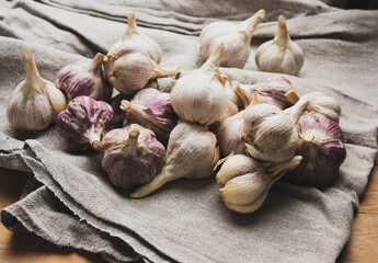  bunch of fresh garlic on a gray linen napkin