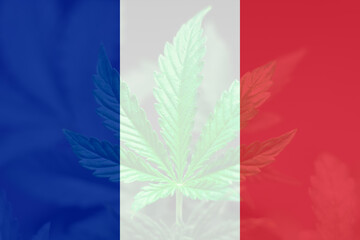 Cannabis legalization in the France. Medical cannabis in the France. Decriminalization Weed in...