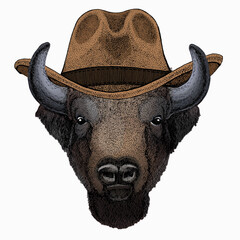 Vector bison head. Portrait of bull, buffalo. © helen_f