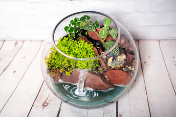 Glass terrarium with plants, lake and falls.