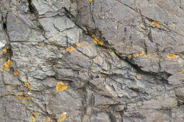 Rock surface for the backdrop. Cracks, scratches. Orange lichen.