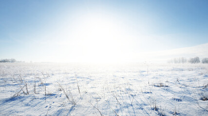 Panoramic view of the snow-covered field after a blizzard. Bushes close-up. Midday sun. Clear blue sky. Ice desert. Winter wonderland. Christmas vacations, global warming theme. Lapland, Finland © Alex Stemmer