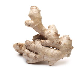 Ginger root isolated on white background, Zingiber officinale