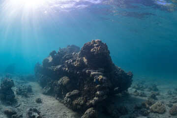 Fototapeta na wymiar World war 2 tank wreck on shallow coral reef 