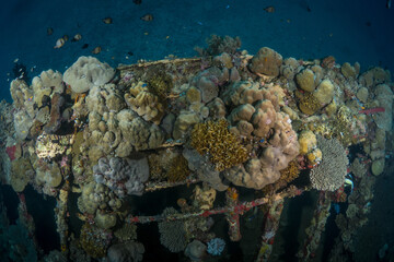 Naklejka na ściany i meble Ship wreck in Papua New Guinea on coral reef ( Atun wreck in Rabaul)