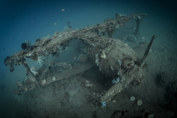 World war 2 bi-plane underwater wreck in Papua New Guinea