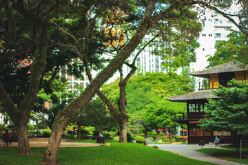 japanese garden in spring