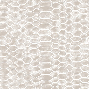 A seamless python skin texture with detailed natural scales and an exotic luxury look. Ideal for fashion, interiors, branding, wallpapers, and design projects requiring realistic reptile leather