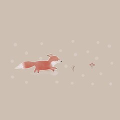 Fox with snow for winter seasons