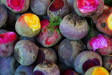 Fresh yellow and pink and white chioggia beets with concentric circles beets at a farmers market
