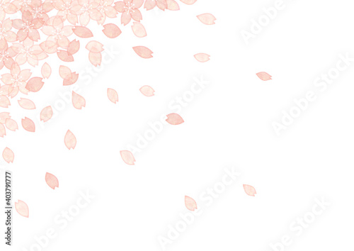 桜の背景素材 Wall Mural Wallpaper Murals Wallsheaven 紀子 加藤 桜の背景素材 Wall Mural Wallpaper Murals Wallsheaven 紀子 加藤
