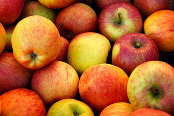 Fresh red and yellow apples at a farmers market