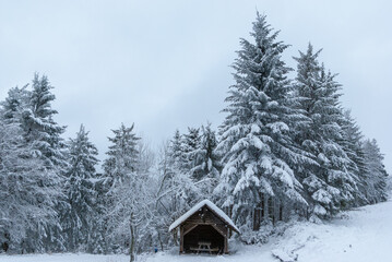 Winterlandschaft des Schwarzwaldes mit Wald, kleiner Hütte und Schnee
