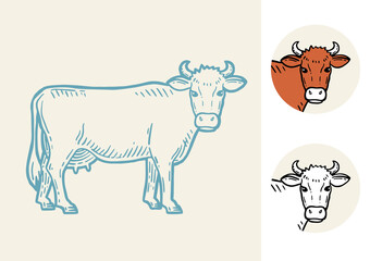 Set of cows. Farm animal. Hand drawn sketch. Vintage style. Color vector illustration.