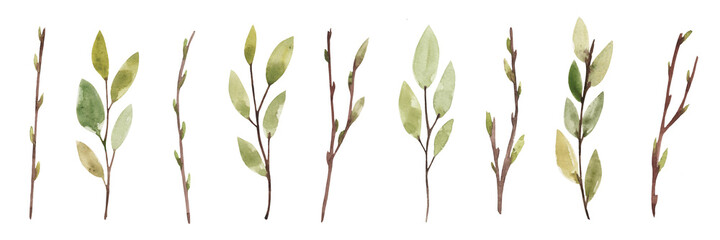 Seth watercolor spring twigs with young green leaves and buds. Isolated over white background. Drawn by hand. © Милана Павлова