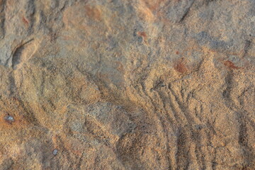 bright beautiful abstract texture of natural stone