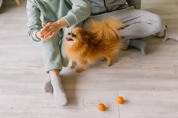 Young couple sitting on the floor with a spitz dog