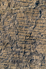 Extreme macro close up of surface Rock pattern. Stone texture and background. Rock Abstract Background