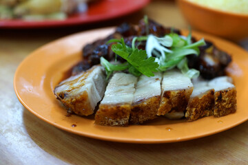 Soft focus image of crispy pork belly and flavor barbecued pork 