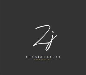 Fototapeta premium Z Initial letter handwriting and signature logo. A concept handwriting initial logo with template element.