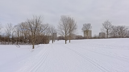 Fototapeta na wymiar Snow covered park with trees and skyscrapers in Ottawa, Canada