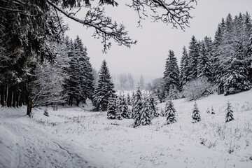 Thüringen | Stützerbach Busselbach im Winter