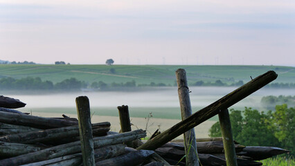 Early Morning Fog At The Begin Of Summer In Winegrowing District Rhinehesse, Rhineland-Palatinate