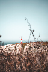 Naklejka premium Porto Covo