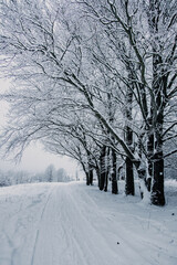 Thüringen | Stützerbach | Schlossberg im Schnee