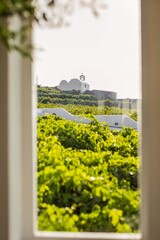 window in the window