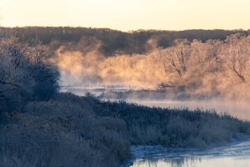 Fototapeta premium 北海道冬の風景 阿寒郡鶴居村の樹氷と気嵐