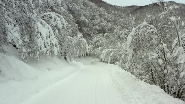 Strda di montagna innevata, in mezzo agli alberi coperti di neve.
Vista aerea di paesaggio invernale. Strada di montaggna sotto la neve in mezzo al bosco di pini