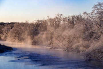 北海道冬の風景　阿寒郡鶴居村の樹氷と気嵐