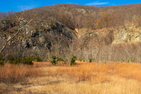 Dried out field near rocky mountain