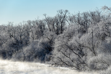 Obraz na płótnie Canvas 北海道冬の風景　阿寒郡鶴居村の樹氷と気嵐