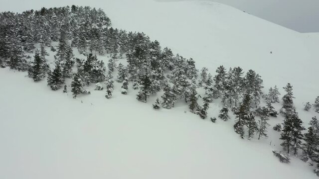 L'Italia formata dagli alberi sulla montagna di Castelluccio di Norcia, Umbria.
Vista aerea dell'Italia raffigurata dagli alberi, nella piana di Castelluccio Norcia coperta di neve, durante l'inverno.
