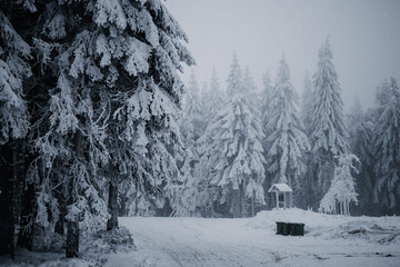 Thüringer Wald im Schnee