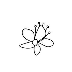 Vector Asian flower in doodle style Spring botanical illustration for Chinese New Year.Cherry blossom sakura  with black hand drawn line.Design cards,social media,weddings,stickers,coloring books.