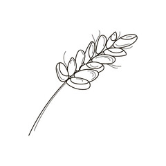 Cute doodle spikelet. Outline vector stock illustration isolated on white background. Hand draw style item for your design of prints, label, logo, shop, bakery ets.