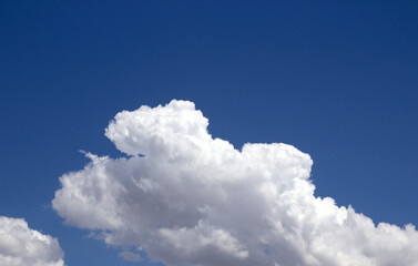 Naklejka na ściany i meble blue sky and White cloud nature