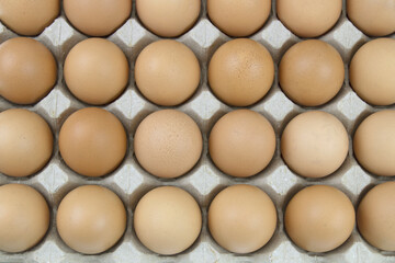 Chicken eggs are fresh in a cardboard package panel, Eggs in a paper egg panel