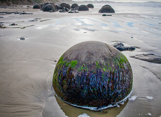 Moeraki Boulders on a New Zealand beach at low tide