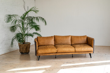A luxurious large bright living room with a large green potted plant in an industrial style with a brown leather sofa and a brick-and-white wall. Clean interior.