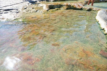 Pool and Fountain of Pamukkale and Hierapolis, the ruins of the ancient Greece city, in Denizli, Turkey