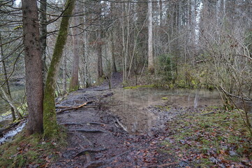Wanderung durchs Mühltal: Entlang der Mangfall