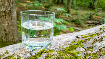A glass of clear water against a natural green background in the forest. Concept of a healthy lifestyle