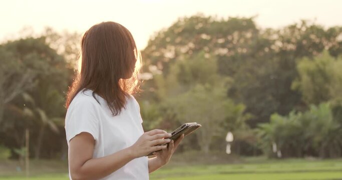 Asian female using digital tablet in agricultural field, morning light, slow motion. Modern farming concept, technology in agriculture.