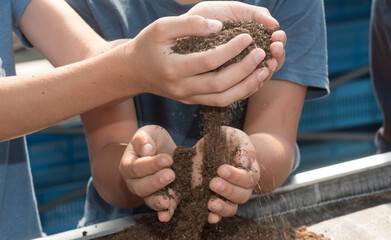 holding soil and humus in hand