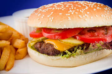 Fresh tasty burger with a Patty made of beef with tomato, cheese, cucumber with a side dish of French fries and sauce.